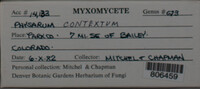 Image Associated With the Occurence